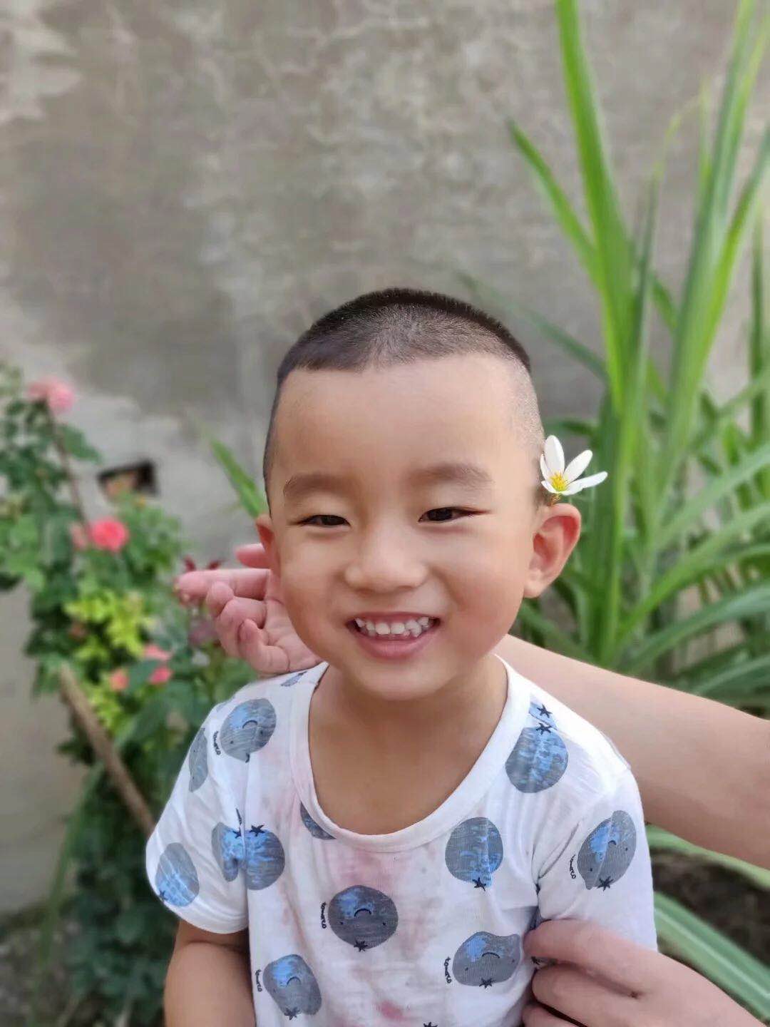 兰花儿